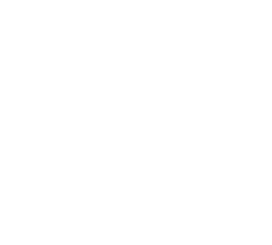 SkillBulls Global